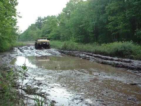 1978 Ford Bronco - A shot of the mud hole.
