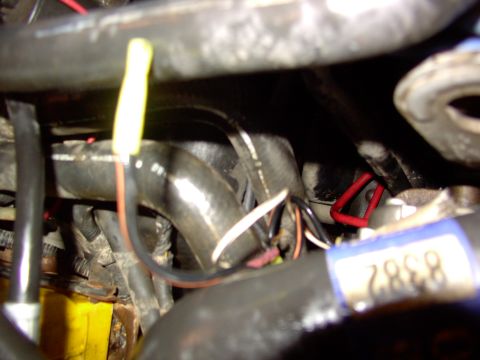 1988 Ford C-350 (Centurion Conversions) - Close-up view of engine bay wiring and hoses, showing a yellow connector and a blue label with visible text.
