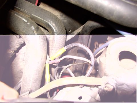 1988 Ford C-350 (Centurion Conversions) - Close-up of engine bay components, including hoses and electrical wiring.