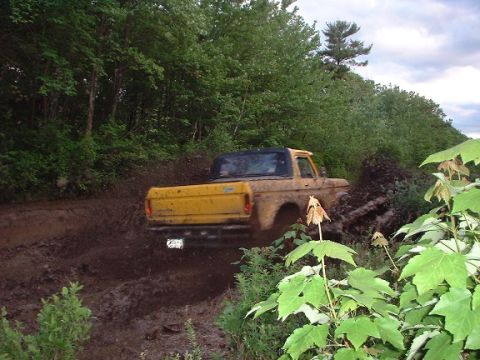 1978 Ford Bronco - Pickup truck stuck in mud on a wooded trail.