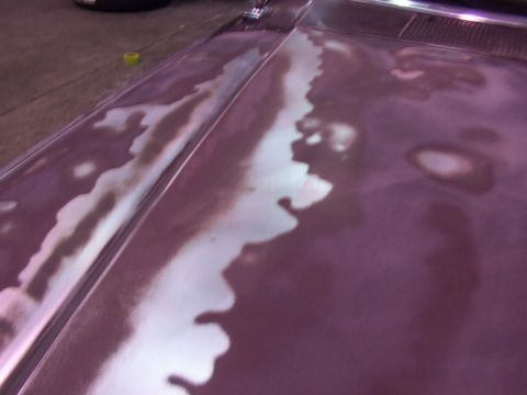1988 Ford C-350 (Centurion Conversions) - The hood of a purple vehicle shows significant paint damage with large areas where the paint has peeled away.