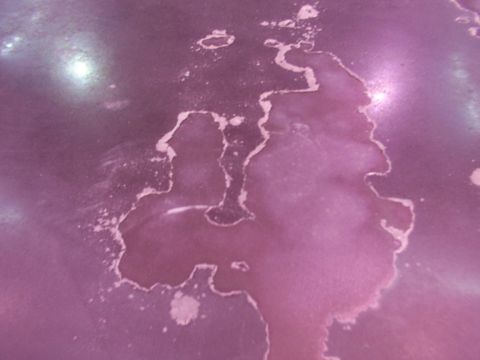 1988 Ford C-350 (Centurion Conversions) - Peeling paint reveals underlying material and discoloration on a purple surface.