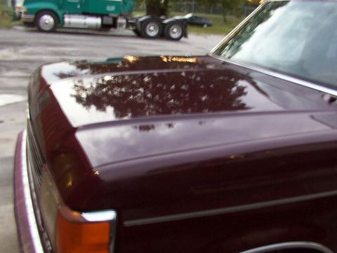 1988 Ford C-350 (Centurion Conversions) - Close-up of the hood and fender of a maroon vehicle, showing reflections of trees and clouds. A green truck is in the background.
