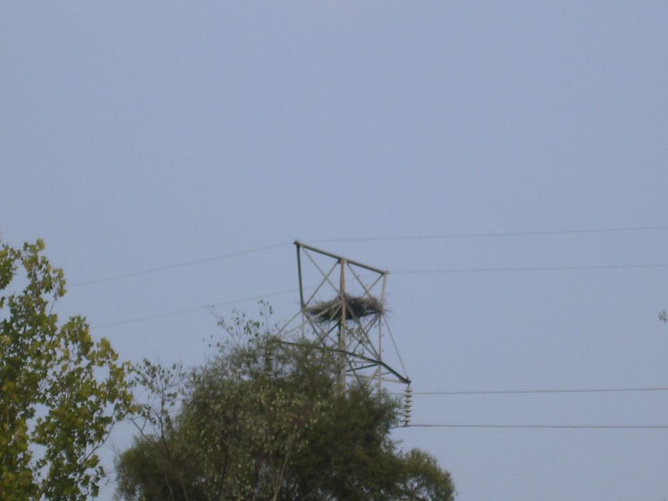 Bird nest atop a power transmission tower against a hazy sky