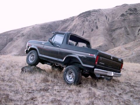 1979 Ford Bronco - Took it for a Sunday drive.
