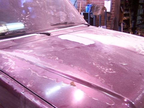 1988 Ford C-350 (Centurion Conversions) - The hood of a vehicle shows significant paint damage, with peeling sections revealing primer underneath.