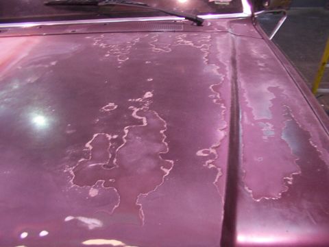 1988 Ford C-350 (Centurion Conversions) - The paint on this vehicle's hood is severely damaged and peeling, revealing the primer below.
