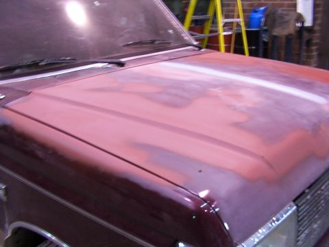 1988 Ford C-350 (Centurion Conversions) - The hood of a vehicle is shown with primer applied in patches, indicating preparation for painting.