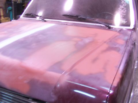 1988 Ford C-350 (Centurion Conversions) - Vehicle hood with primer and sanding marks, suggesting bodywork is in progress.