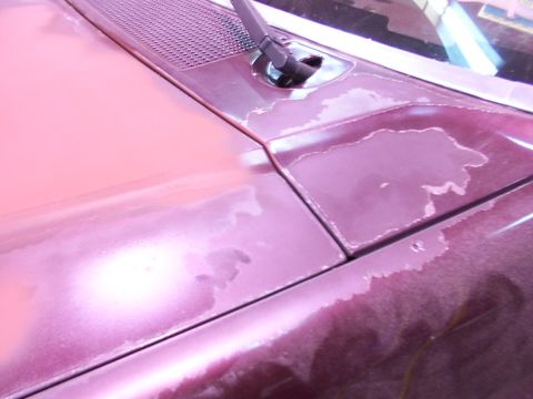 1988 Ford C-350 (Centurion Conversions) - The hood panel of a vehicle shows significant paint damage with peeling clear coat and base coat.
