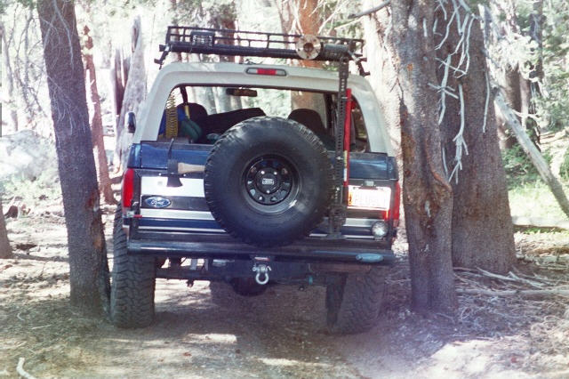 Rear view of blue Ford Bronco with spare tire carrier and roof rack squeezing between trees on forest trail