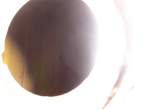 1988 Ford C-350 (Centurion Conversions) - A close-up view of a dark circular object with some reddish debris, potentially a vehicle part.