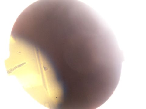 1988 Ford C-350 (Centurion Conversions) - A circular component, possibly a fuel pump part, is shown in close-up with indistinct yellow and brown coloration.