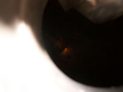 1988 Ford C-350 (Centurion Conversions) - Abstract view of a dark, curved object with subtle light play.