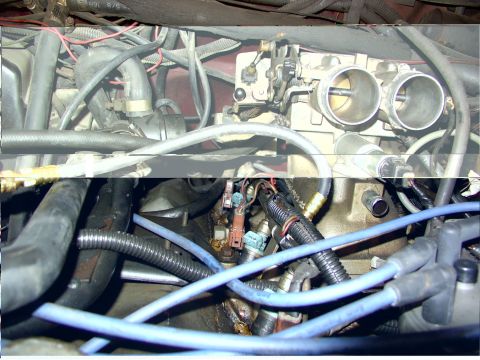 1988 Ford C-350 (Centurion Conversions) - Close-up view of the fuel injection system and associated engine components.