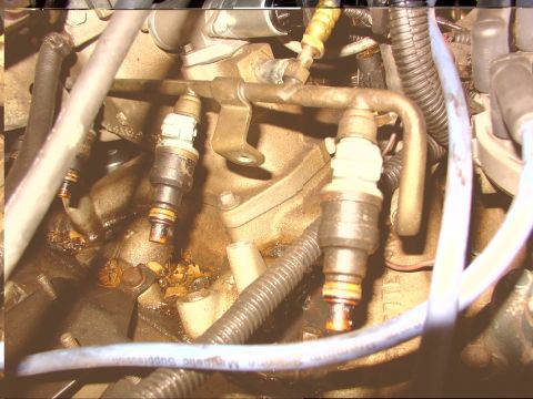 1988 Ford C-350 (Centurion Conversions) - A close-up view of two fuel injectors connected to a fuel rail, showing engine components.