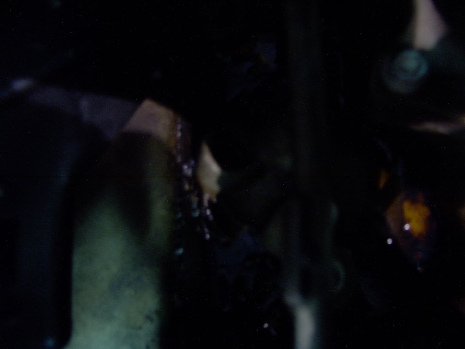 Close-up of a greasy engine component