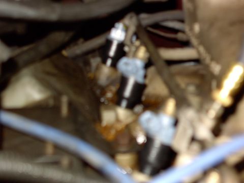1988 Ford C-350 (Centurion Conversions) - A close-up view of multiple fuel injectors, likely from an engine compartment.