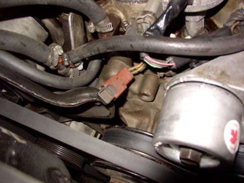 1988 Ford C-350 (Centurion Conversions) - A view of engine components including hoses, wiring, and a belt, with a red connector prominently visible.