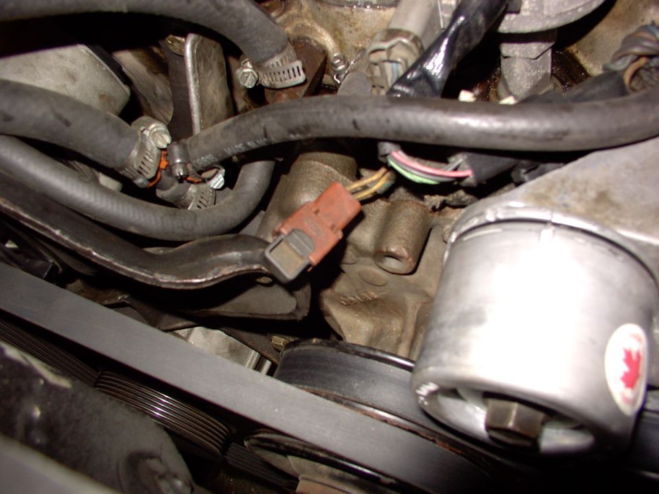 Close-up of engine bay showing hoses, a red electrical connector, and a serpentine belt