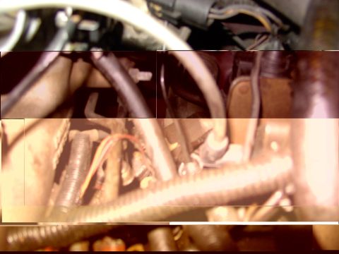 1988 Ford C-350 (Centurion Conversions) - Close-up view of engine components, including hoses and electrical wiring.