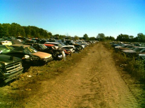 1988 Ford C-350 (Centurion Conversions) - A vast junkyard filled with numerous damaged vehicles stretches into the distance under a bright, clear sky.