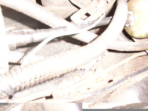 1988 Ford C-350 (Centurion Conversions) - A close-up view of various hoses and electrical wiring within a vehicle's engine compartment.