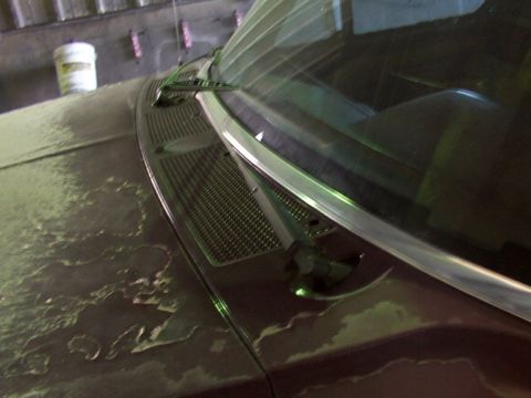 1988 Ford C-350 (Centurion Conversions) - Close-up of a car's hood and windshield base, showing wear and tear on the paint.