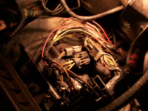 1988 Ford C-350 (Centurion Conversions) - Close-up view of a tangled engine compartment wiring harness with various colored wires and connectors.