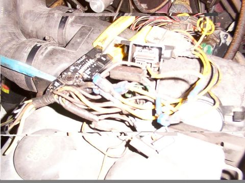 1988 Ford C-350 (Centurion Conversions) - Close-up of a vehicle's engine compartment wiring harness, showing various wires and connectors.