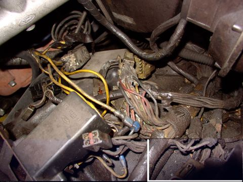 1988 Ford C-350 (Centurion Conversions) - Close-up of a messy engine compartment wiring harness with a Ford-branded electrical box.