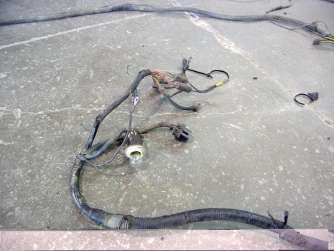 1988 Ford C-350 (Centurion Conversions) - Wiring harness with a light bulb socket and connectors, likely from an engine compartment.