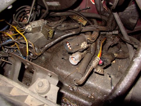 1988 Ford C-350 (Centurion Conversions) - Close-up view of a complex engine compartment wiring harness, showing various connectors and bundled wires.