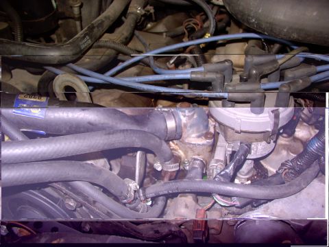 1988 Ford C-350 (Centurion Conversions) - Close-up view of an engine bay, showing spark plug wires and various hoses.