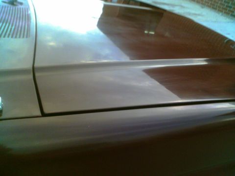 1988 Ford C-350 (Centurion Conversions) - Close-up of a car's hood and fender, showing reflections and panel gaps.