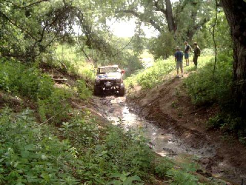 1984 Ford Bronco - A white Ford Bronco navigates a muddy creek bed surrounded by lush green foliage.