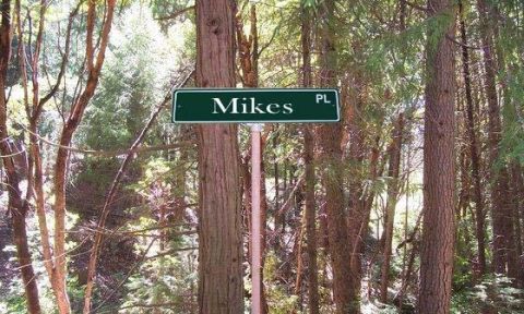 1989 Ford Bronco - A street sign for Mikes PL is visible amidst a dense forest setting.