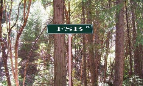 1989 Ford Bronco - A street sign for FSB PL is visible amidst the trees in a dense forest setting.
