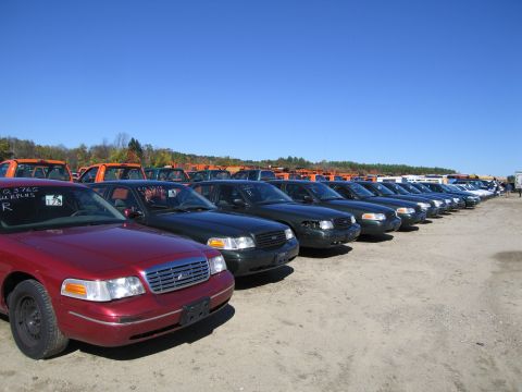 1991 Ford LTD Crown Victoria - Multiple police interceptor sedans parked in a lot under a clear blue sky.