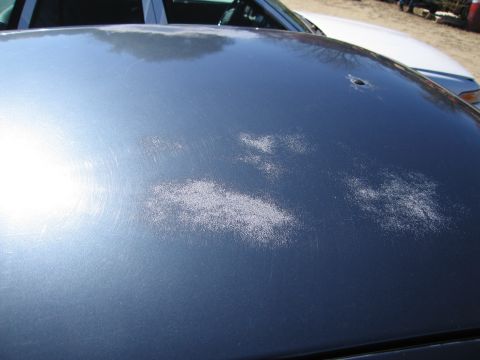 1991 Ford LTD Crown Victoria - Peeling paint and a dent on the hood of a dark blue car, with a white car in the background.