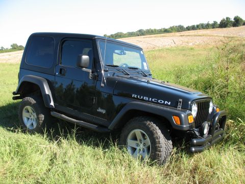 1993 Ford Bronco - Ditch Flex #2