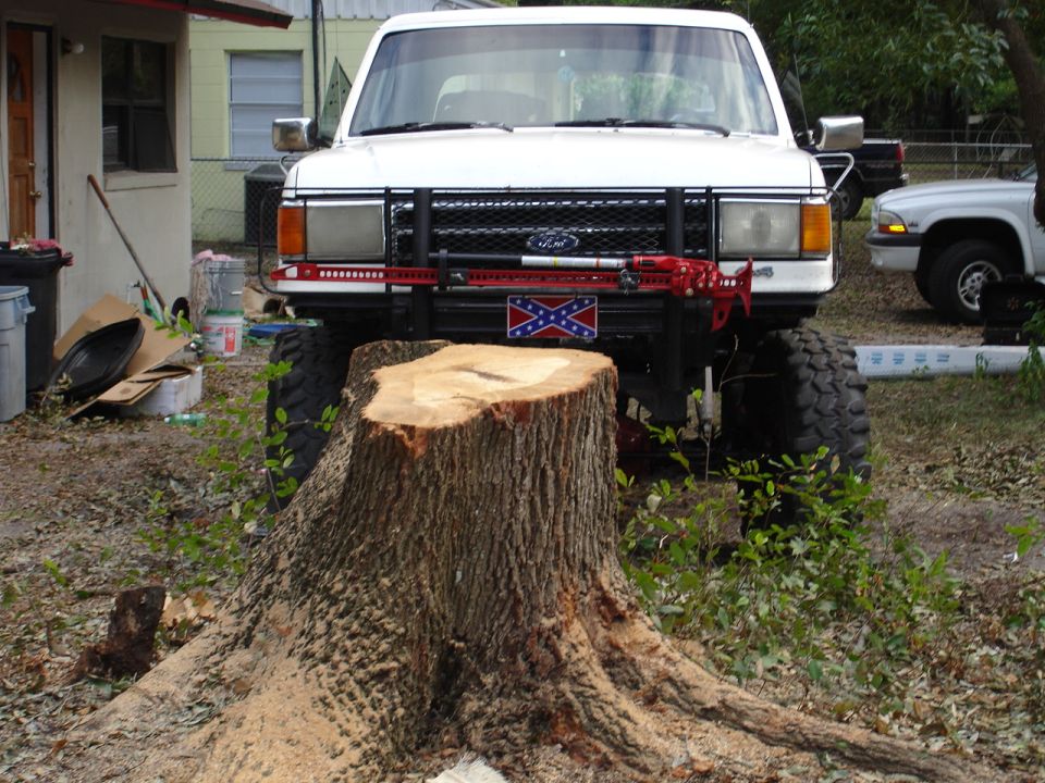 Front view of white lifted Ford Bronco with tube grille guard behind a large tree stump