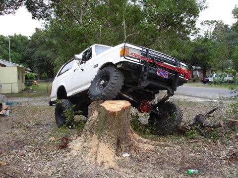 1989 Ford Bronco - This heavily modified Ford Bronco is positioned precariously on a large tree stump, its off-road capabilities.