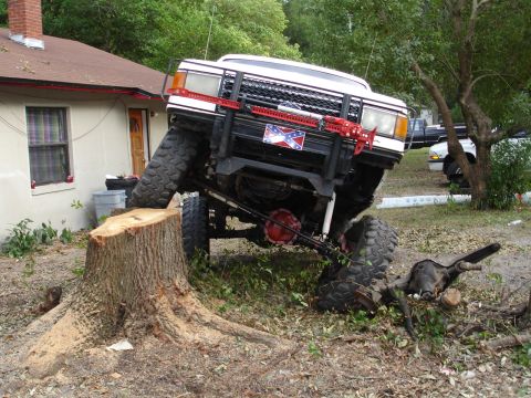 1989 Ford Bronco - An off-road SUV is precariously balanced on a large tree stump, with another vehicle visible in the background.