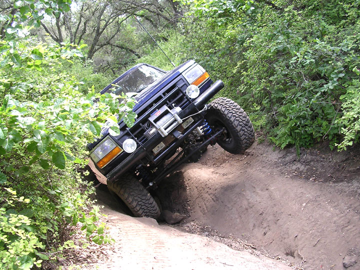 this was fun.  The whole section of trail is like this.