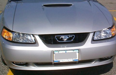 2000 Ford Mustang - The front grille of a silver Ford Mustang features a horse emblem and a license plate.