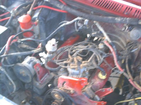 1986 Ford Bronco - The engine bay of a 1986 Ford Bronco shows its red engine block, distributor, and alternator.