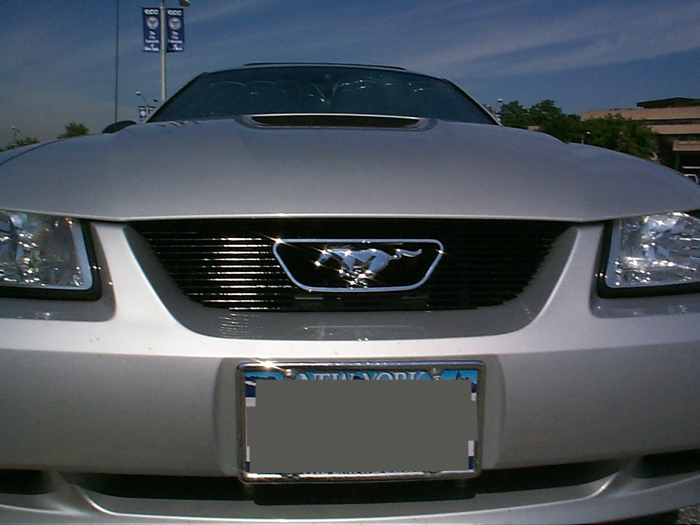 Silver Ford Mustang grille with horse emblem, front view