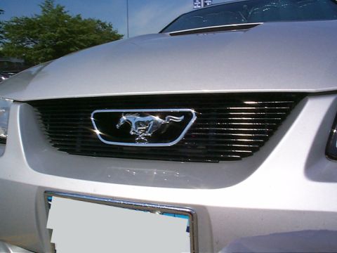 2000 Ford Mustang - Front grille of a 2000 Ford Mustang, the iconic running horse emblem.