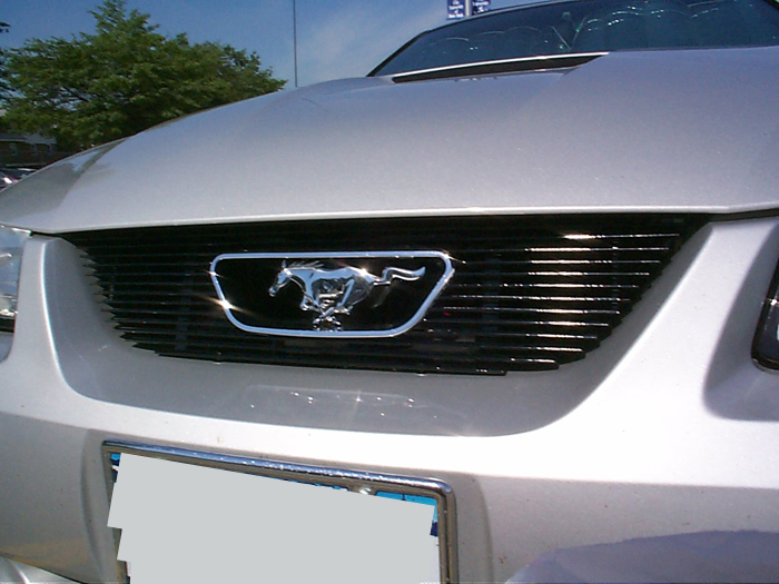 2000 Ford Mustang grille with running horse emblem and horizontal bars